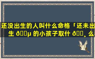 还没出生的人叫什么命格「还未出生 🐵 的小孩子取什 🌸 么名字好呢」